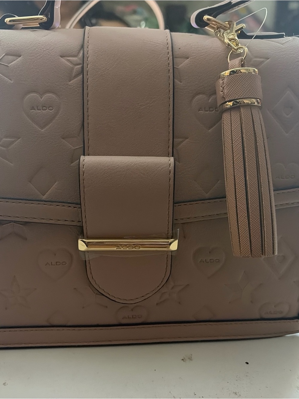 ALDO Rose Embossed Leather Tassel Satchel